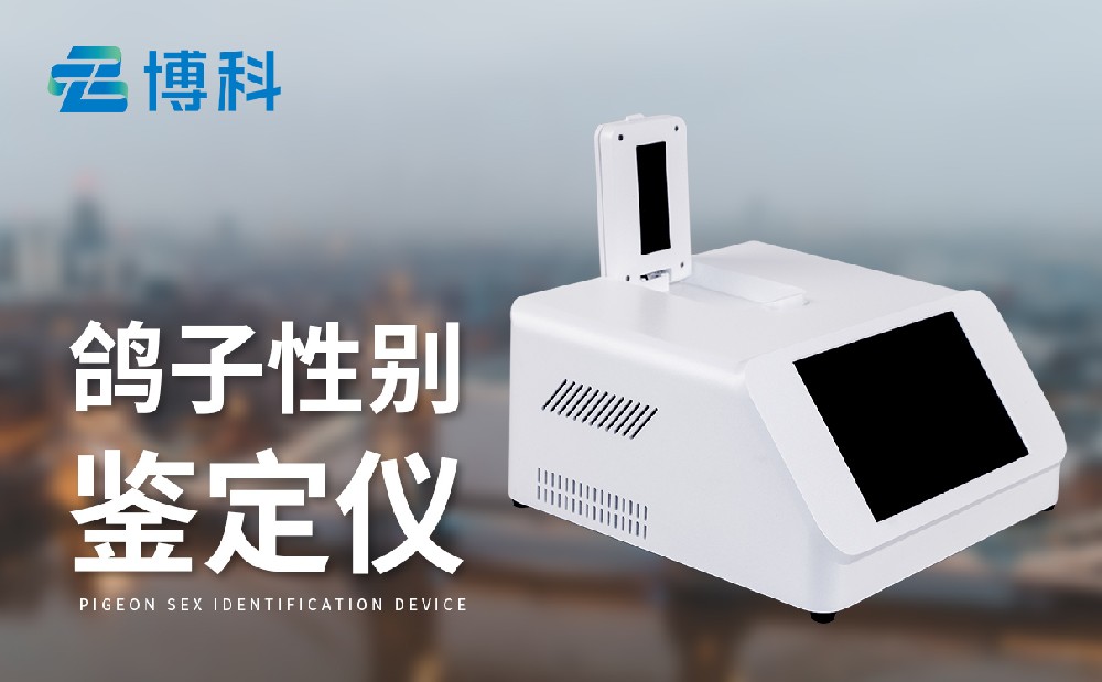 鸽子公母球盟会最新官网