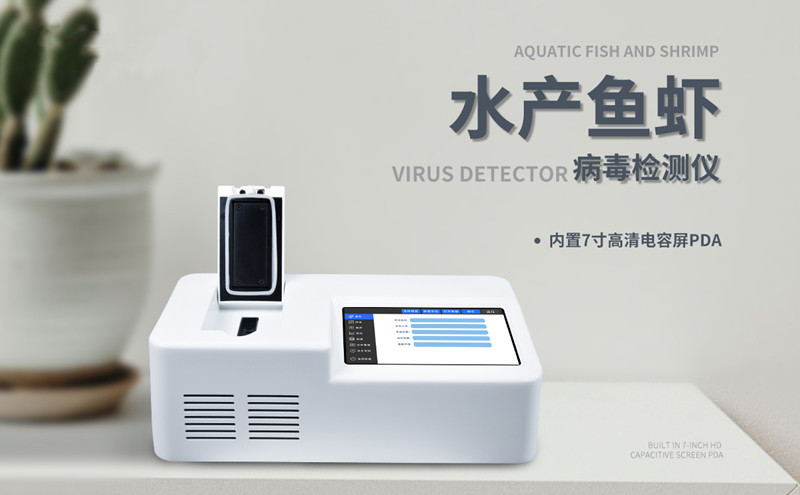 鱼虾病毒球盟会最新官网